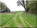 Junction of footpath and bridleway at junction of Penton Copse in SP11 0SP