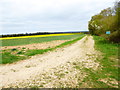 Private track on western edge of Penton Copse in SP11 0RH