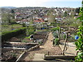 An Allotment in Bannerdale, Sheffield in S7 2DN