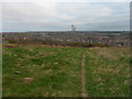 Path on Boldon Hills in NE36 0PY