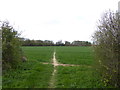 Footpath crosses field to Horse Croft Copse in SP11 9HL