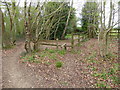 Redundant stile on path into Horse Croft Copse in SP11 9HL
