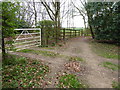 Footpath heads out of Horse Croft Copse in SP11 9HL