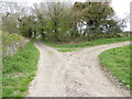 Bridleway junction on byway north of Ragged Appleshaw in SP11 9JA