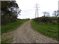 Bridleway with pylons in SP11 9JA