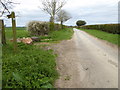 Looking north on Penton Lane from footpath junction in SP11 0RR