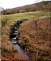 Nant Sion Siencyn in Dare Valley Country Park in CF44 8AZ