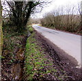 Roadside drainage channel in Dare Valley Country Park in CF44 8AZ