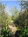 Another footbridge over a drain near Wawne in HU7 5EU