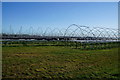 Strawberry crop polytunnels at Sturton Grange Farm in LS25 4DZ