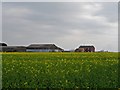 Farm buildings and oilseed rape in PE33 9BD