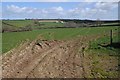 Farmland near Huntshaw in EX38 7HQ