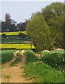 Footpath towards Winteringham in DN15 9AA