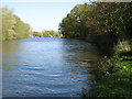 The River Thames near Sonning in RG4 6ST