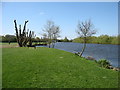 The River Thames below Reading in RG4 5BQ