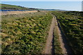 Southwest Coast Path in TQ7 2TW