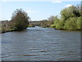 The River Thames below Tilehurst in RG30 1EA