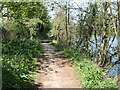 The Thames Path in Tilehurst in RG31 6LE