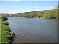 The River Thames above Mapledurham Lock in RG8 7RB