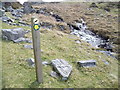On the Taith Ardudwy Way in LL47 6YY