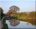 Stanthorne Lock in the Evening in CW10 0PF