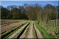 Path enters Peckfield Plantation near Mcklefield in LS25 4DQ