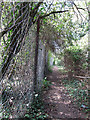 Path and woodland by Whitworth Road in TN37 7ND
