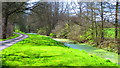 Seeswood Canal, Arbury Park in Arbury Ward