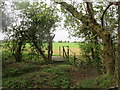 Footbridge at the beginning of the path to Wellingore in Navenby & Brant Broughton Ward
