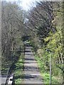 Cyclepath viewed from South Trinity Road, Edinburgh in EH5 3QA