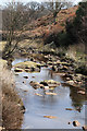 Wheeldale Gill, downstream view in YO22 5AR