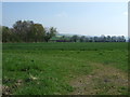 Farmland north of Ovington in NE42 6EF