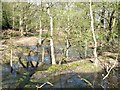 Waterlogged land, Epping Forest in CM16 7QS