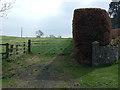 Field entrance off the B6309 in Stamfordham