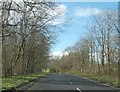 Wooded area near Balfunning House in G63 0NF
