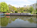 Badger - narrowboat on Paddington Arm, Grand Union Canal in UB6 7NU