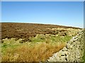 Dry Stone Wall keeping moorland at bay in HG3 4HE