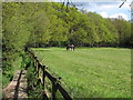 Footpath and pasture near Stock Farm in CM4 9PT