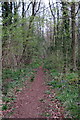 Bridleway through the woods in GL56 9TR