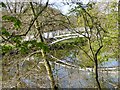 The Laurie footbridge in TD9 0EL