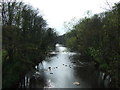 River Wansbeck, Morpeth in NE61 3QY