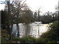 Pond at Woking Crematorium in GU21 8TW