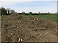 Hedgerow removed along Cornells Lane in CB11 3SF