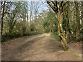The Three Forests Way in Hainault Forest in IG7 6ES
