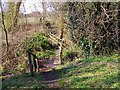 Bridge in Sweetpool Nature Reserve in DY9 0JD
