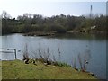Balancing Lake (Sheepwash Urban Park) in B69 3NG