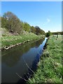 The River Dearne south of Cudworth in S72 8RL
