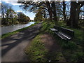 Bench on the canal towpath in G66 1DF
