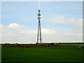 Communication Mast east of Newall Carr Road in LS21 2HD