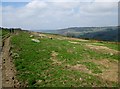 Track  on  Farnley  Moor in LS21 2RB